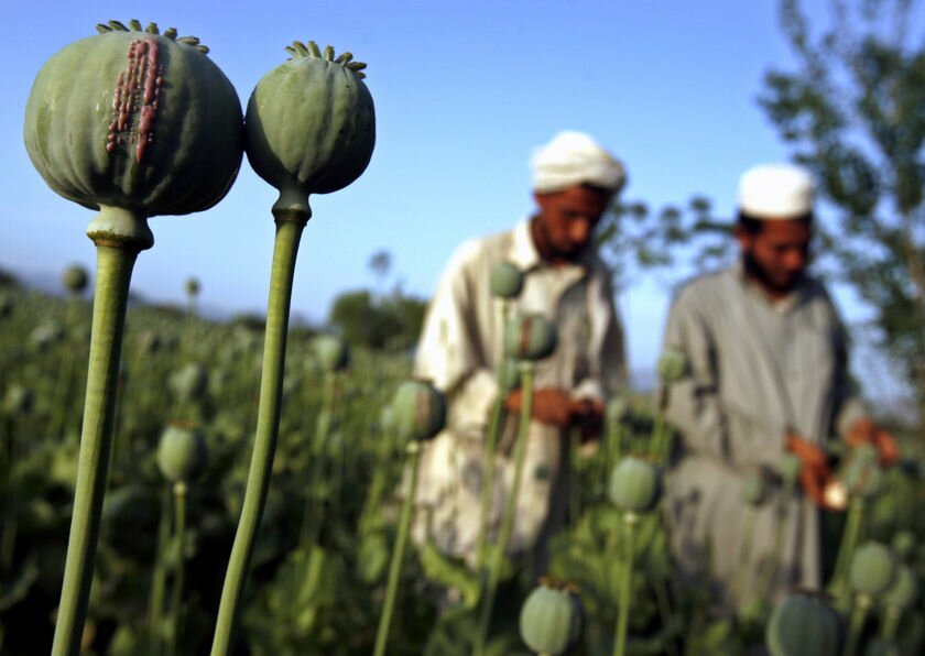 Интересные факты про Афганистан2